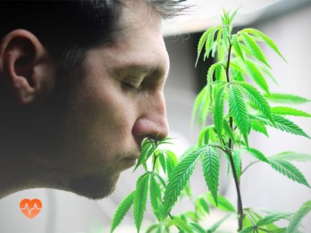 Детоксикация от марихуаны в Ногинске